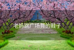 老妈跳广场舞的鞋子