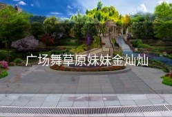 广场舞草原妹妹金灿灿