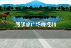 腰腿痛广场舞视频