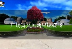 广场舞又见两只蝴蝶飞