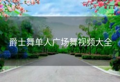 爵士舞单人广场舞视频大全