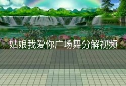 姑娘我爱你广场舞分解视频