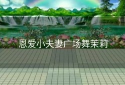 恩爱小夫妻广场舞茉莉