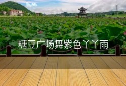糖豆广场舞紫色丫丫雨