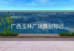 广西玉林广场舞别知己