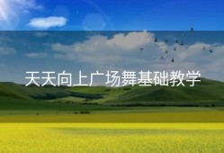 天天向上广场舞基础教学
