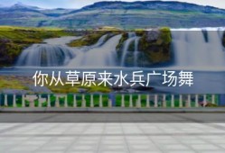 你从草原来水兵广场舞