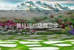 黄玖瑰广场舞三步