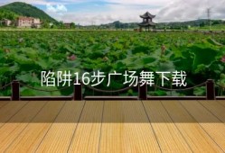 陷阱16步广场舞下载