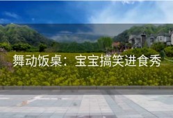 舞动饭桌：宝宝搞笑进食秀