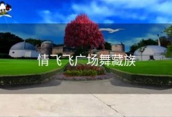 情飞飞广场舞藏族