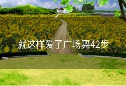 就这样爱了广场舞42步