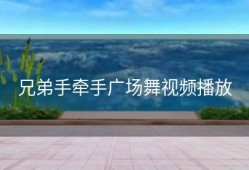 兄弟手牵手广场舞视频播放