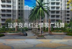 拉萨夜雨红尘情歌广场舞