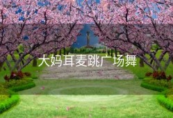 大妈耳麦跳广场舞