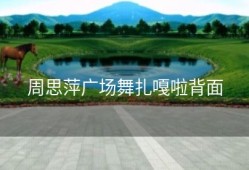 周思萍广场舞扎嘎啦背面