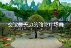 交谊舞天边的骆驼广场舞