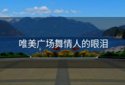 唯美广场舞情人的眼泪
