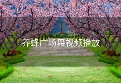 养蜂广场舞视频播放