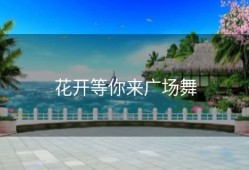 花开等你来广场舞