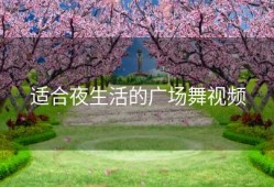 适合夜生活的广场舞视频