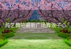 纯艺舞吧最新广场舞浪子心