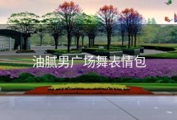 油腻男广场舞表情包