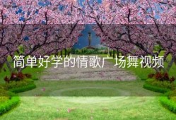 简单好学的情歌广场舞视频