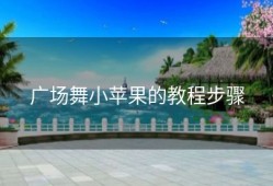 广场舞小苹果的教程步骤