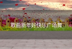 歌曲新年好快乐广场舞