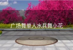 广场舞单人水兵舞小花