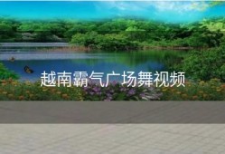 越南霸气广场舞视频