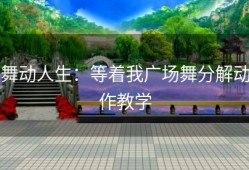 舞动人生：等着我广场舞分解动作教学