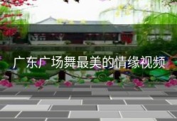 广东广场舞最美的情缘视频
