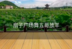 扇子广场舞五哥放羊