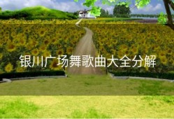 银川广场舞歌曲大全分解