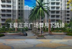 下载正宗广场舞月下情缘