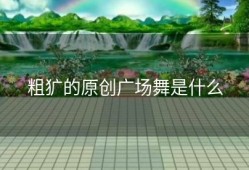粗犷的原创广场舞是什么