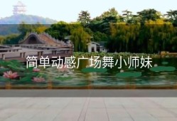 简单动感广场舞小师妹