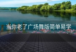 当你老了广场舞版简单易学