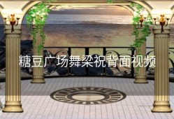 糖豆广场舞梁祝背面视频