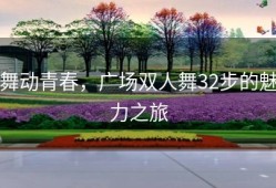 舞动青春，广场双人舞32步的魅力之旅