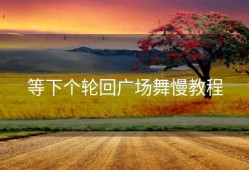等下个轮回广场舞慢教程