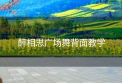 醉相思广场舞背面教学
