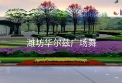 潍坊华尔兹广场舞