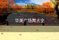 华美广场舞大全