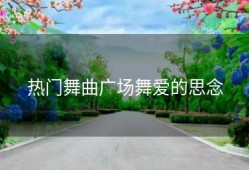 热门舞曲广场舞爱的思念