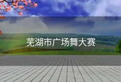 芜湖市广场舞大赛