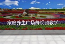 家庭养生广场舞视频教学