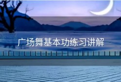 广场舞基本功练习讲解